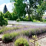 Maison Victors Farmhaus - Gutshaus Mit 2 Und Exklusives Privathaus - Einzel- Oder Gesamtbuchung 펜션 *