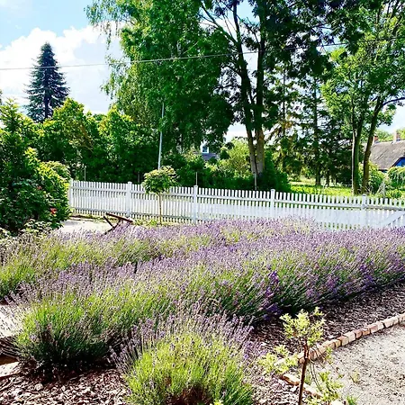 Maison Victors Farmhaus - Gutshaus Mit 2 Und Exklusives Privathaus - Einzel- Oder Gesamtbuchung Dom wakacyjny *