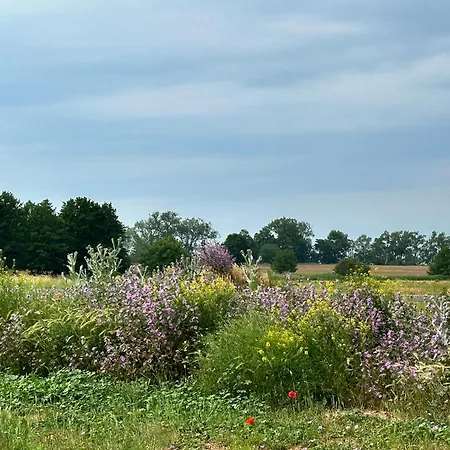 Maison Victors Farmhaus - Hofensemble Mit Exklusivem Privathaus Und Zwei Im Gutshaus - Einzelbuchung Oder Gesamtbuchung Moeglich Rankwitz