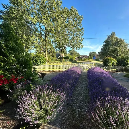 Maison Victors Farmhaus - Gutshaus Mit 2 Und Exklusives Privathaus - Einzel- Oder Gesamtbuchung 朗克维茨